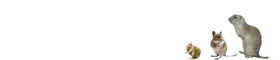 小さなモフモフ放送局のロゴ