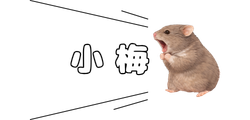 小梅のイメージ画像